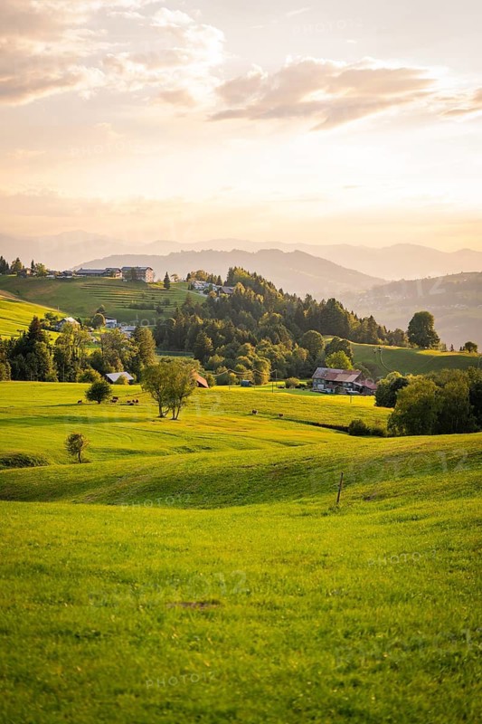 Extensive green meadows and hills with small villages on the horizon in the evening light, Oberstaufen region, Allgäu, Bavaria, Germany