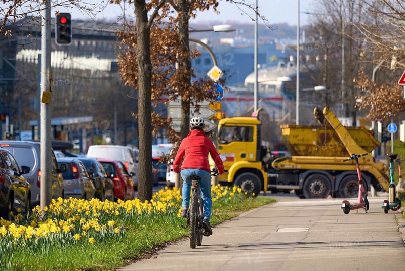 Middle aged woman riding an e-bike on a safe bike path lined with blooming daffodils during spring rush hour i with urban traffic and sustainable commuting concept, Stuttgart, Baden-Wuerttemberg, Germany