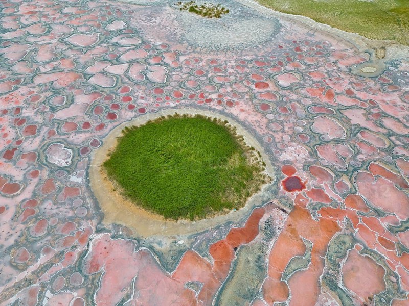 Aerial view of Camel Lake set against shifting sand dunes, caused by microorganisms and algae such as Dunaliella salina, which produce the pigment beta-carotene to protect themselves from strong UV radiation, A salt lake near the well-known Ulan Lake in the Tengger Desert, part of the Gobi Desert known as the ‘red heart of the Earth', Inner Mongolia, China