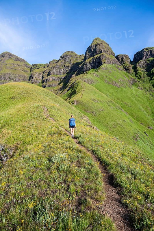 Female hiker on the hiking trail to Cathedral Peak, Green Mountains and Hills, Drakensberg Mountains, KwaZulu-Natal, South Africa