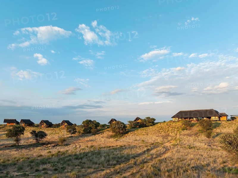 The Ta Shebube Rooiputs Lodge in the Kalahari Desert during the rainy season with green vegetation. Aerial view. Drone shot. Kgalagadi Transfrontier Park, Botswana
