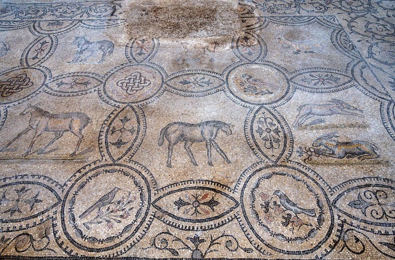 Detailed floor mosaic with geometric patterns and depictions of animals, Basilica di Santa Maria Assunta, Basilica of Aquileia, UNESCO World Heritage Site, Aquileia, Friuli, Italy