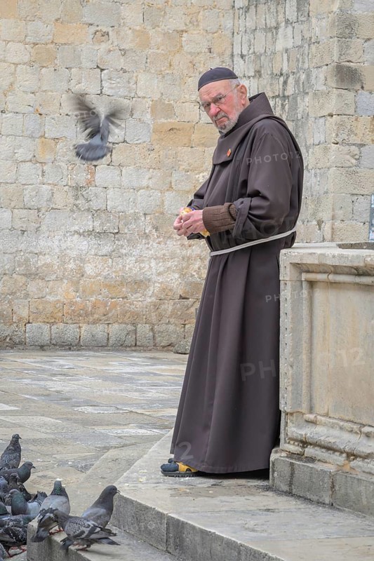 Friar Nedjeljko Jerkan a member of the Franciscan church and monastery, feeds the pigeons at the large Onofrio Fountain, Dubrovnick, Croatia