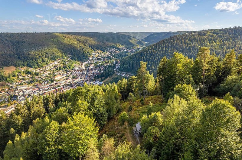 View of a densely wooded valley with a small town in the background, Bad Wildbad, Black Forest, Germany