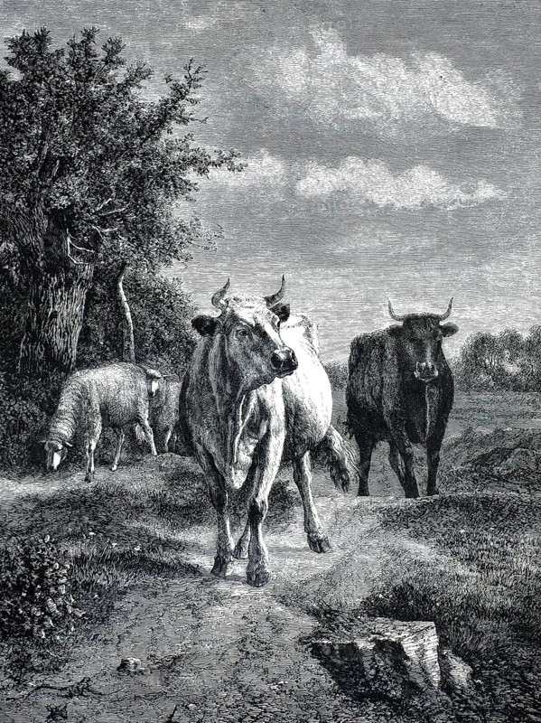 Cows and Sheep in a Pasture by Constant Troyon (1810–1865), French painter, authentic, high-resolution reproduction of a 19th-century original, exact date of the painting unknown, historical