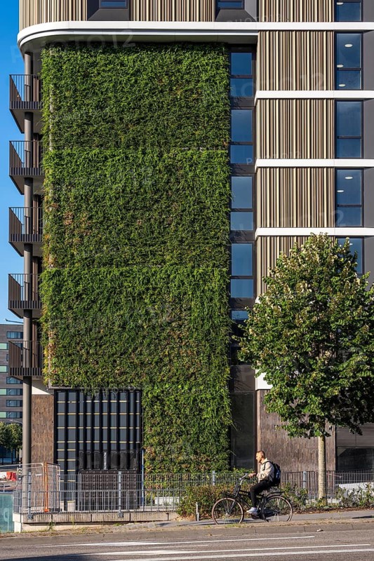 The Maaswaard residential high-rise building, on the Maas in Venlo, a so-called circular residential building, some of the building materials are recycled from other demolished construction projects, it is very energy efficient, with PV elements on the roof and in the façade and a partially green façade, Venlo, Limburg, the Netherlands