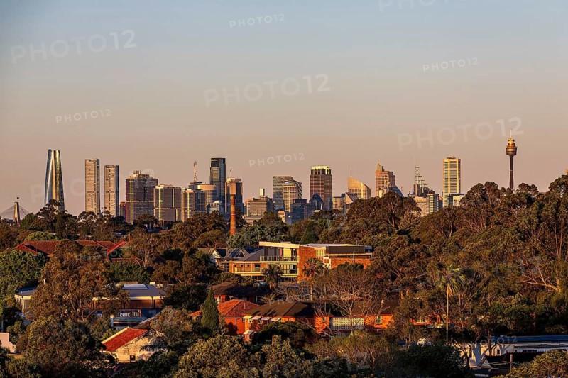 View of the Sydney skyline with greenery in the foreground and mix of modern buildings and traditional houses creating an urban landscape, Sydney, Australia
