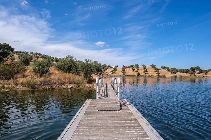 A wooden walkway leads across the water to a hilly landscape of olive trees under a clear sky, Alqueva, Évora, Portugal