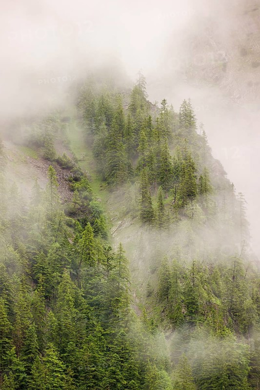 Wisps of mist cover the Karwendel mountains in the Großer Ahornboden nature reserve, Eng Valley, Tyrol, Austria
