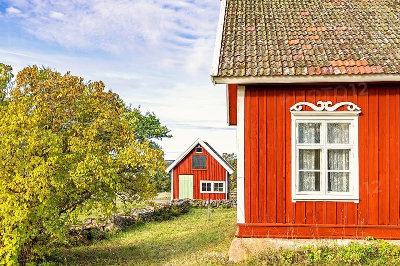 Red wooden houses with white trim stand in a idyllic rural landscape with a garden in autumn foliage, Sweden