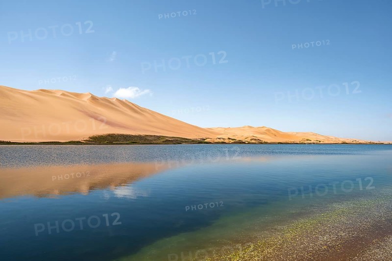 Sand dunes are reflected in Sandwich Harbour Lagoon, Impressive Desert Landscape, Namib Naukluft Park, Namib Desert, Namibia