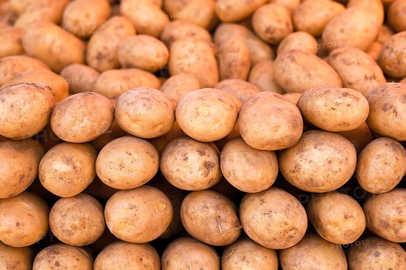 Rows of brown potatoes stacked in an orderly manner