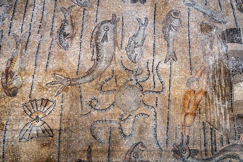 Detailed floor mosaic with geometric patterns and depictions of marine animals and a sea monster, Basilica di Santa Maria Assunta, Basilica of Aquileia, UNESCO World Heritage Site, Aquileia, Friuli, Italy