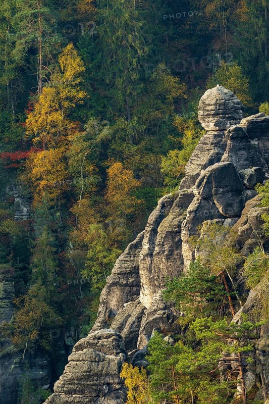 Autumn in the Elbe Sandstone Mountains in the Saxon Switzerland National Park, Lohmen, Saxony, Germany