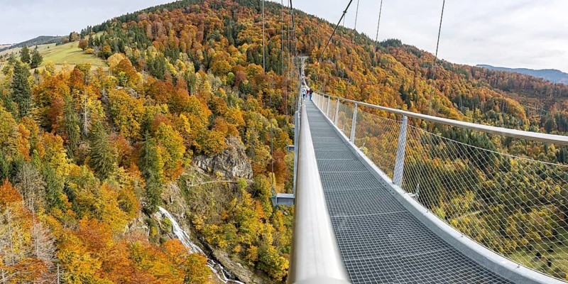 Blackforestline suspension bridge at Todtnau Waterfall in the Black Forest in autumn panorama in Todtnau, Germany