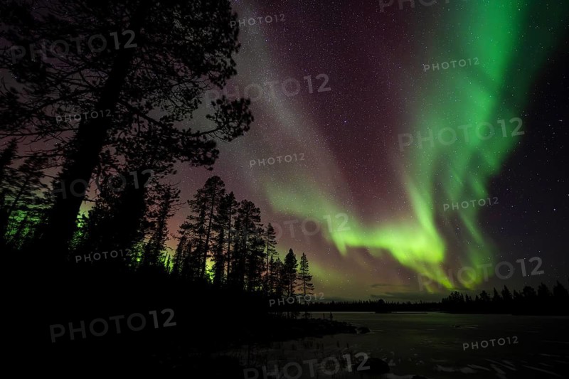 Northern Lights (Aurora borealis) over a frozen lake, Norrbotten, Lapland, Sweden, October 2022