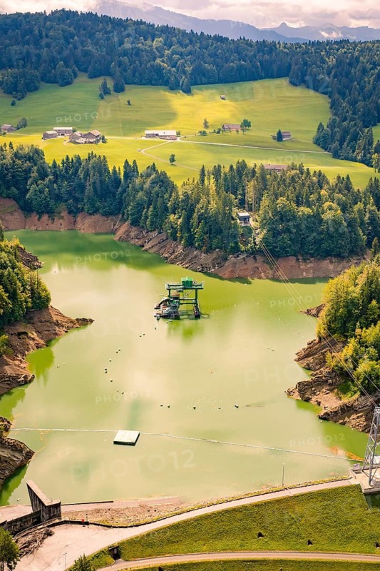 Green lake nestled in a hilly landscape, surrounded by trees, Krumbach, Vorarlberg, Austria