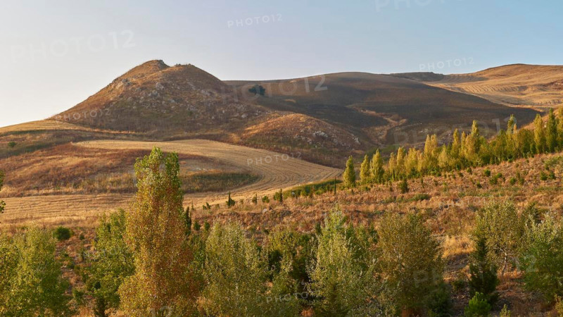 Barren hilly landscape, trees, brown hilltop, Madonie National Park, autumn, late summer, Sicily, Italy