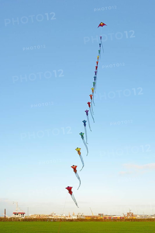 Many colourful wind birds in the blue sky, Drachenwiese, Norddeich, North Sea, Lower Saxony, Germany