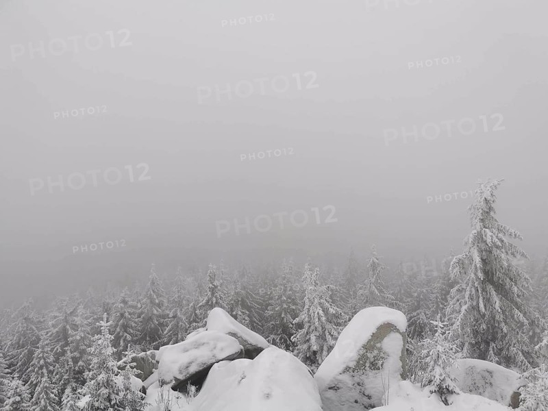 Snowy trees in a foggy winter landscape, Fichtelgebirge nature park Park