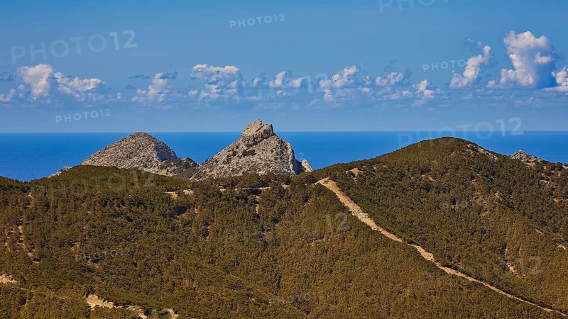 Hilly mountain landscape with wooded areas under a blue sky, Northern West Coast, Karpathos, Dodecanese, Greek Islands, Greece