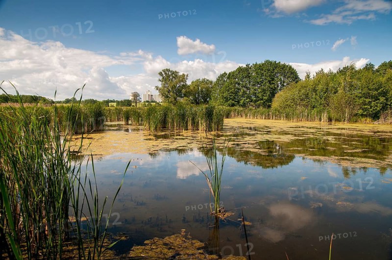 Friessnitzer See-Struth, Germany, Greiz, Seewiesen, Thuringia, small water, landscape, nature reserve, nature reserve, nature reserve