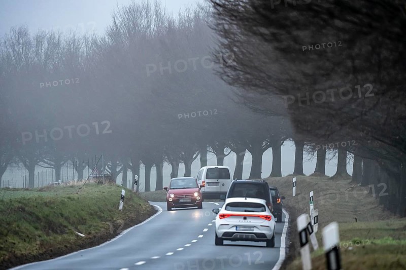 Thick fog, with low visibility, country road, Schuirweg, bare trees, winter, in Essen, North Rhine-Westphalia, Germany