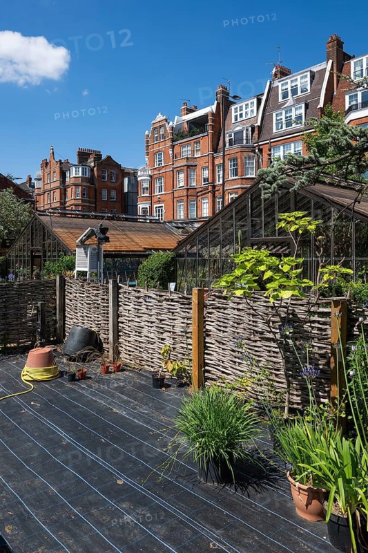 Victorian townhouses on Royal Hospital Road, woven fence and historic greenhouses, Chelsea Physic Garden, historic botanical garden, oldest botanical garden in London, founded in 1673 by the Worshipful Society of Apothecaries, Chelsea, England, Great Britain, Great Britain