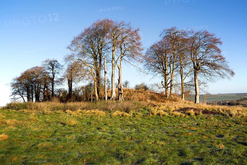 Neolithic long barrow in chalk downland countryside near East Kennett, Wiltshire, England, UK