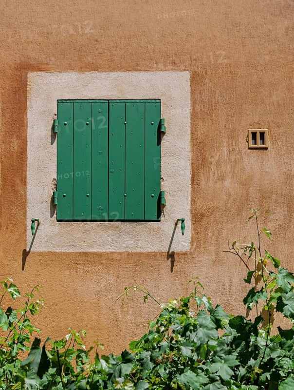 Closed green window on a whitewashed wall with plants below, Rossillon, Provence, France