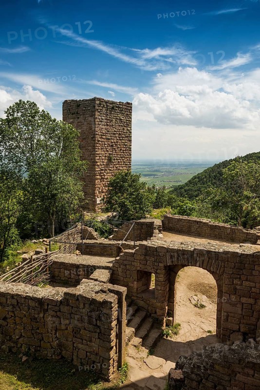 Castle ruins, Les Trois Châteaux d'Eguisheim, Eguisheim, Plus beaux villages de France, Haut-Rhin, Alsace, Alsace, France