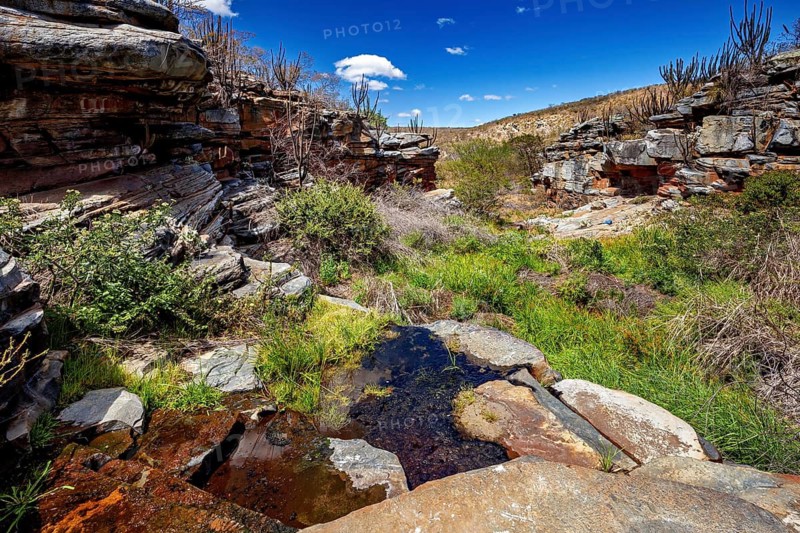 Rocks and vegetation around a small stream under a blue sky, the thornshrub savanna in the Caatinga countryside in the federal states of Pernambuco and Bahia in Brazil