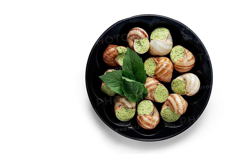 Stuffed grape snails, burgundy, on a white background, isolate