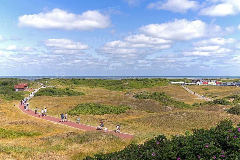 Way through the dunes to the beach, sports center, Langeoog, East Frisia, Lower Saxony, Germany