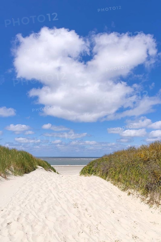 Beach access, sand, dunes, North Sea, Langeoog, East Frisia, Lower Saxony, Germany