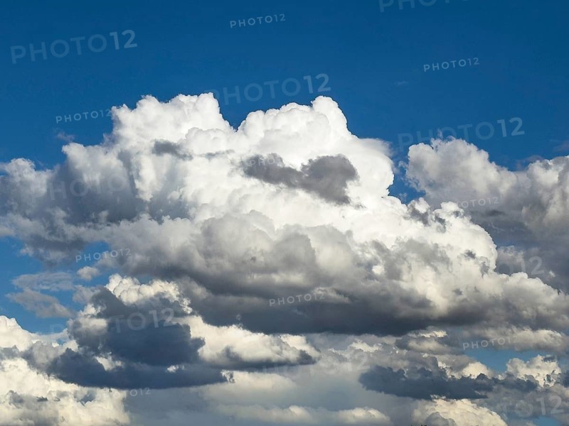 Large field of large cumulus cluster clouds under blue sky, international
