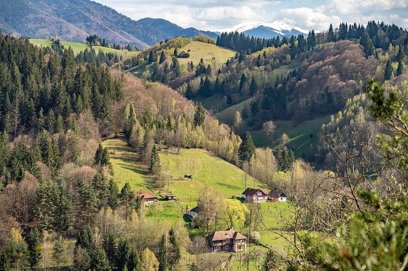 The snow-capped Bucegi Mountains and the countryside near Bran or Törzburg, Transylvania, Romania