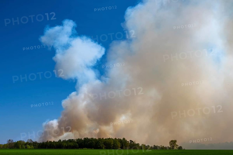 Moorbrand im Goldenstedter Moor, Goldenstedt, Lower Saxony, Germany