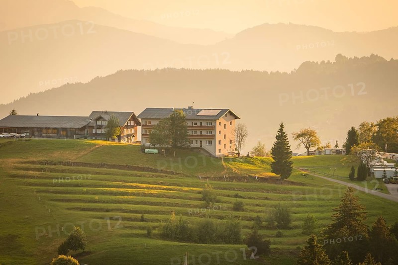Farmhouses on a hill surrounded by meadows and illuminated by warm evening light, Oberstaufen region, Allgäu, Bavaria, Germany