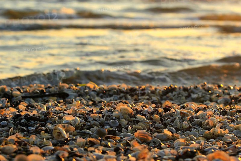 Morning atmosphere on the beach of the Baltic Sea, September, Usedom, Mecklenburg-Western Pomerania, Germany