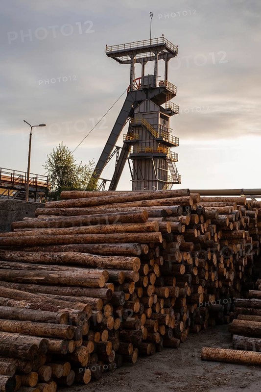 A large pile of timber logs stacked in the foreground with a mine headframe tower rising into the sky in the background during sunset or sunrise in Polkowice, Poland