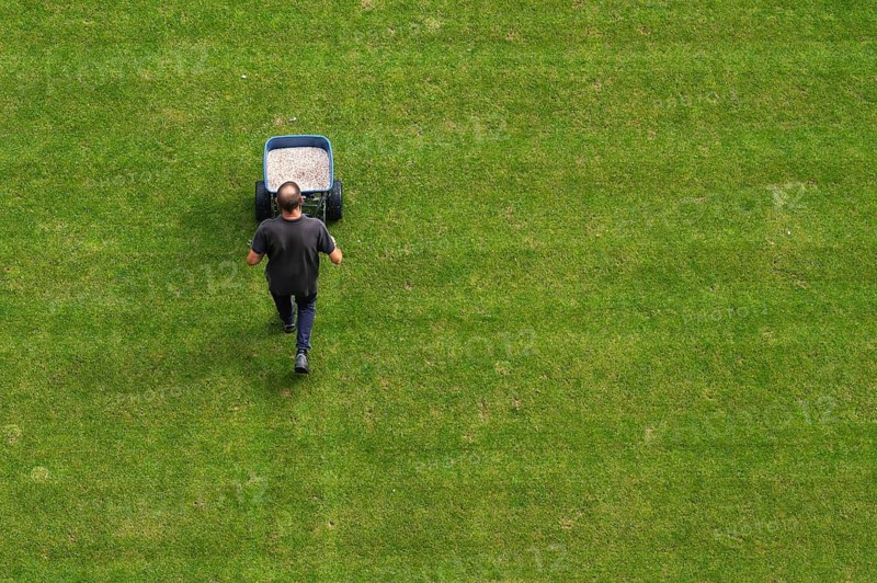 Groundsman spreads artificial fertilizer for grass on a football pitch in Lubin, Poland