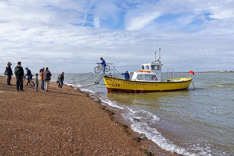 People, bikes, harbour ferry, beach, Felixstowe, England, Great Britain