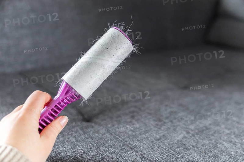 A hand using a lint roller on a gray fabric surface. The roller removes pet hair and lint. A green plant is visible in the background