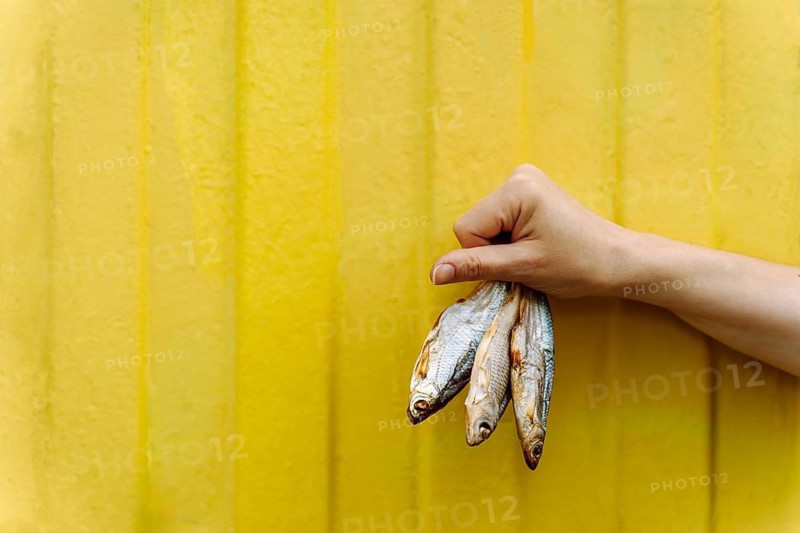 Hand Holding Dried Fish Against a Bright Yellow Background, A hand holding three dried fish against a vibrant yellow background
