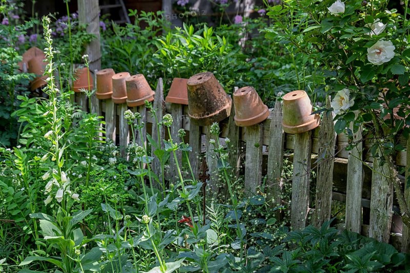 Several terracotta pots hang upside down on a wooden fence in a green garden, North Rhine-Westphalia, Germany