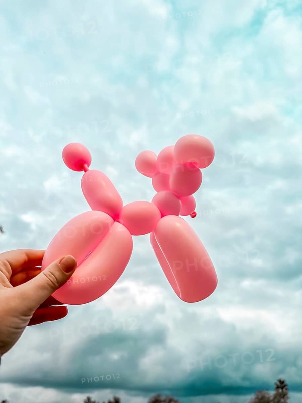 A hand holds a pink balloon animal resembling a dog against a cloudy sky. The balloon is shaped with rounded features and a playful design