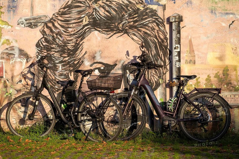 Mural of Ludwig van Beethoven, on the banks of the Rhine in Bonn-Beul, Beethoven City Bonn, North Rhine-Westphalia, Germany