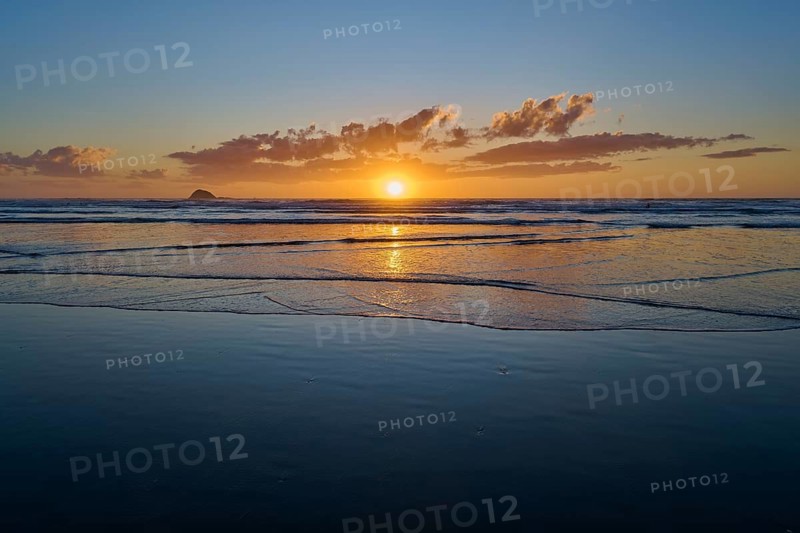 Tranquil coastline at sunrise with gentle waves and warm light, Muriwai Beach, Auckland, North Island, New Zealand