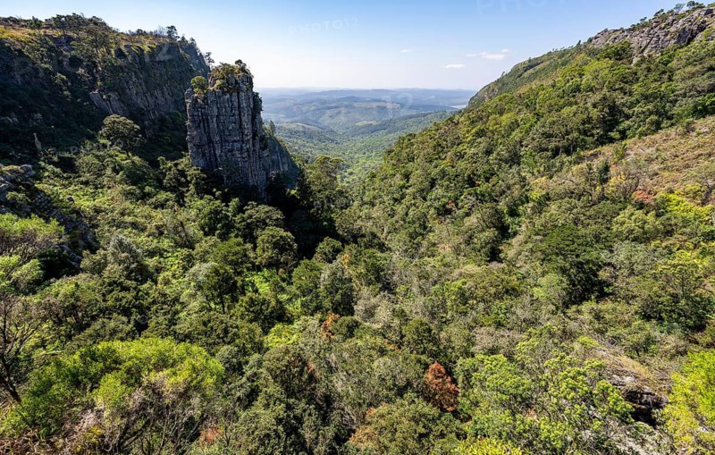 Rock needle in a densely forested canyon, Pinnacle Rock, view over canyon landscape, near Graskop, Mpumalanga, South Africa